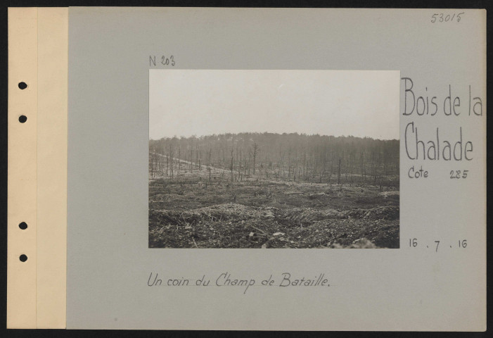 Bois de La Chalade, Cote 285. Un coin du champ de bataille