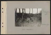 Broyes (près). Poste d'observation