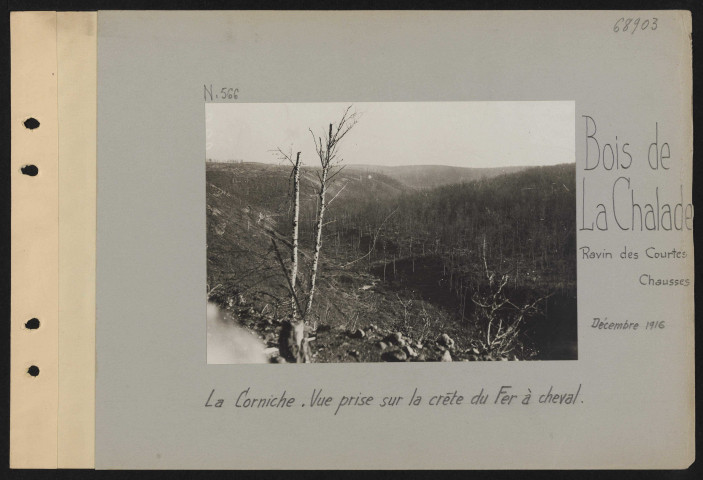 Bois de la Chalade, Ravin des Courtes-Chausses. La Corniche. Vue prise sur la crête du Fer à cheval