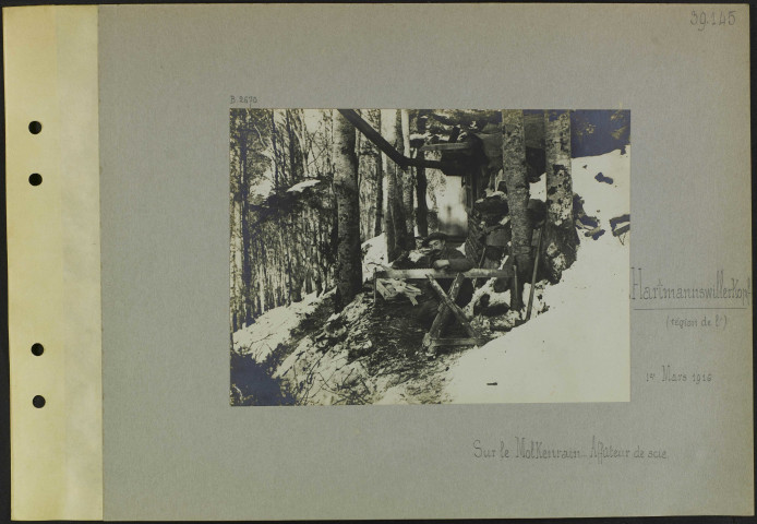 Hartmannswillerkopf (Région de l'). Sur le Molkenrain. Affûteur de scie