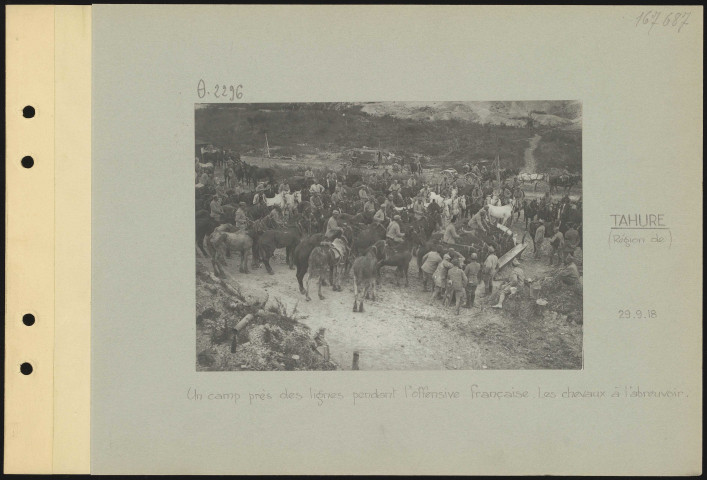 Tahure (région de). Un camp près des lignes pendant l'offensive française. Les chevaux à l'abreuvoir