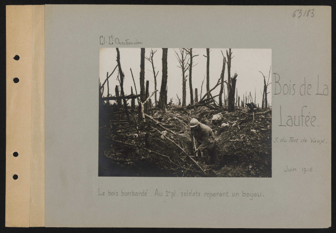 Bois de la Laufée (sud du Fort de Vaux). Le bois bombardé. Au premier plan, soldats réparant un boyau