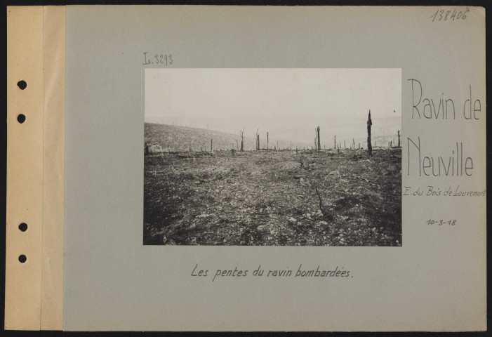 Ravin de Neuville (est du Bois de Louvemont). Les pentes du ravin bombardées