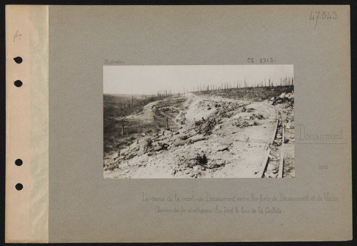 Douaumont. Le "Ravin de la mort" de Douaumont entre les forts de Douaumont et de Vaux. Chemin de fer stratégique. Au fond, le Bois de la Caillette