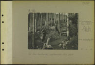 Herrenfluh (Nord-ouest de Wattwiller). Le bois bombardé ; emplacement d'un poste