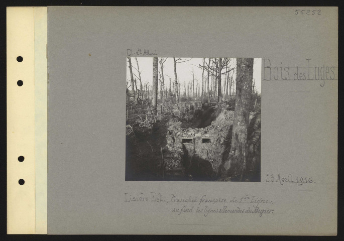Bois des Loges. Lisière est ; tranchée française de première ligne ; au fond les lignes allemandes du Buvier