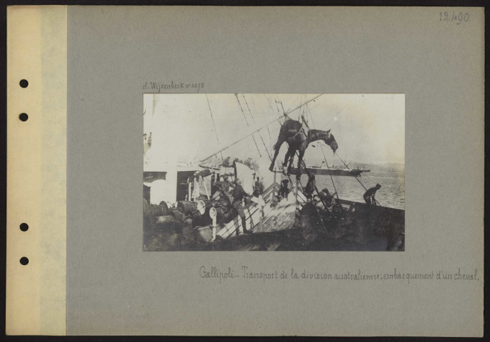 Gallipoli (Italie). Transport de la division australienne, embarquement d'un cheval