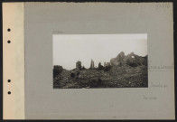 Ferme de Léomont. Les ruines