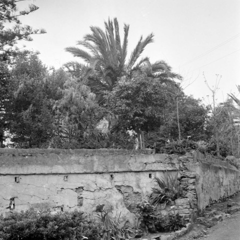 Orphelinat des enfants des Chouhadas (martyrs de la guerre d'Indépendance). 4
