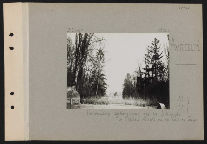 Avricourt. Destructions systématiques par les Allemands : le château détruit, vu du saut de loup