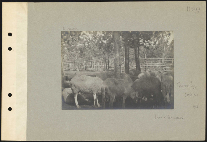 Cuperly (près de). Parc à bestiaux