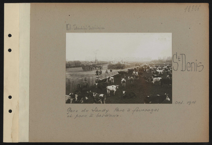 Saint-Denis. Gare du Landy. Parc à fourrages et parc à bestiaux