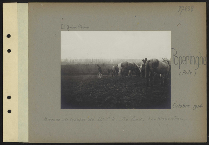 Poperinghe (près). Bivouac de troupes du 20e CA. Au fond, houblonnières