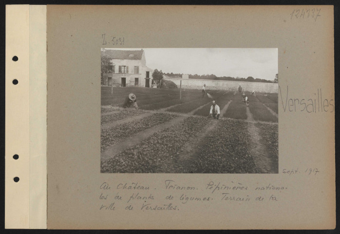 Versailles. Au château. Trianon. Pépinières nationales de plants de légumes. Terrain de la ville de Versailles