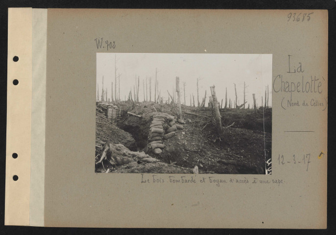 La Chapelotte (nord de Celles). Le bois bombardé et boyau d'accès à une sape