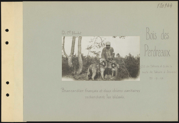 Bois des Perdreaux (sud-ouest de Tahure et sud de la route de Tahure à Souain). Brancardier français et deux chiens sanitaires recherchant les blessés