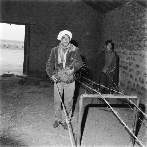 Saïda. Le travail de l'alfa