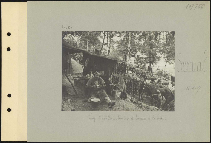 Serval. Camp d'artillerie. Cuisines et chevaux à la corde