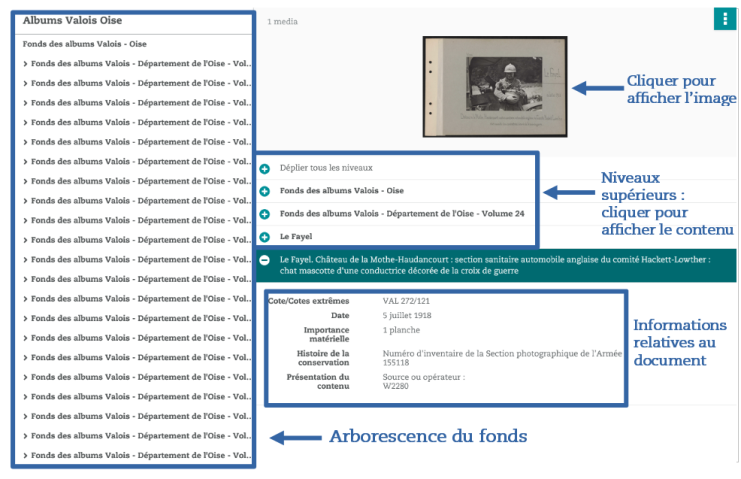 Capture d'écran détaillant les différentes parties d'une notice, décrites dans le texte