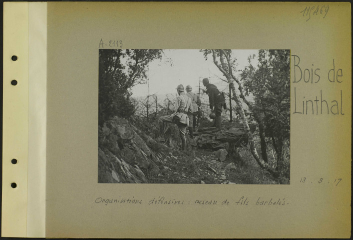 Bois de Linthal. Organisations défensives : réseau de fils barbelés