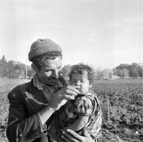 Reportage sur le domaine de la Trappe, propriété nationalisée de la famille Borgeaud à Staouëli, près d'Alger (suite). 6