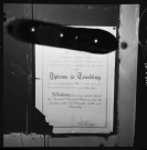 Diplôme d'enseignant de Mariana Braganza délivré en 1955. Portrait d'un homme