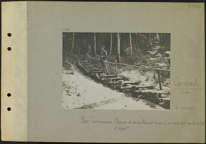 Carpach (Près). Bois communaux. Chemin de ravitaillement construit en mars 1915 par le 50e régiment d'infanterie