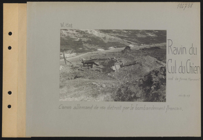 Ravin du Cul du Chien (sud de Ferme Mormont). Canon allemand de 150 détruit par le bombardement français