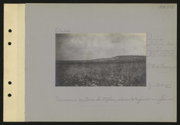 Bois de Berthonval (sud-est de Carency). Panorama du bois. Au premier plan, réseau de défenses accessoires