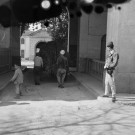 Borgeaud, domaine de La Trappe