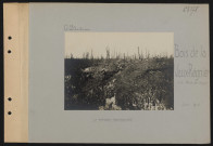 Bois de la Vaux-Régnier (sud-ouest du Fort de Vaux). Le terrain bombardé