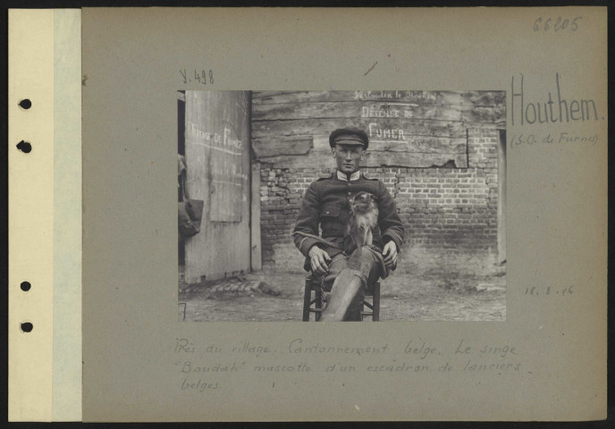 Houthem (sud-ouest de Furnes). Près du village. Cantonnement belge. Le singe "Boudah" mascotte d'un escadron de lanciers belges