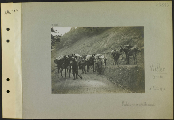 Willer (Près de). Mulets de ravitaillement