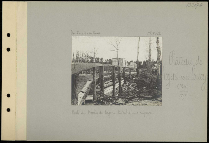 Château de Nogent-sous-Coucy (près). Route du Moulin de Nogent. Détail d'une coupure