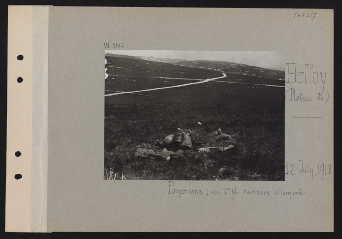 Belloy (plateau de). Panorama ; au premier plan cadavre allemand