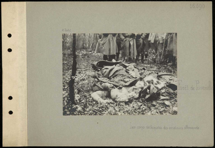 Forêt de Puvenelle. Les corps déchiquetés des aviateurs allemands