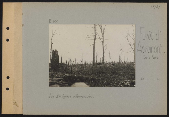 Forêt d'Apremont (Bois Jura). Les premières lignes allemandes