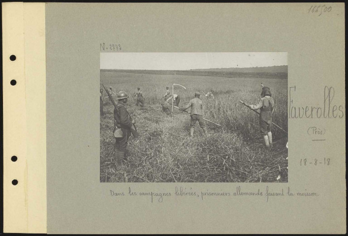 Faverolles (près). Dans les campagnes libérées, soldats faisant la moisson