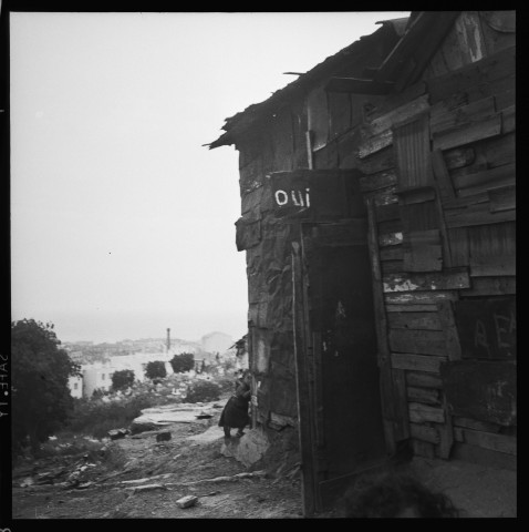 Habitats précaires sur les hauteurs d'Alger (suite): 2