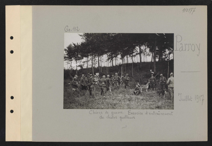 Parroy. Chiens de guerre. Exercice d'entraînement de chiens guetteurs