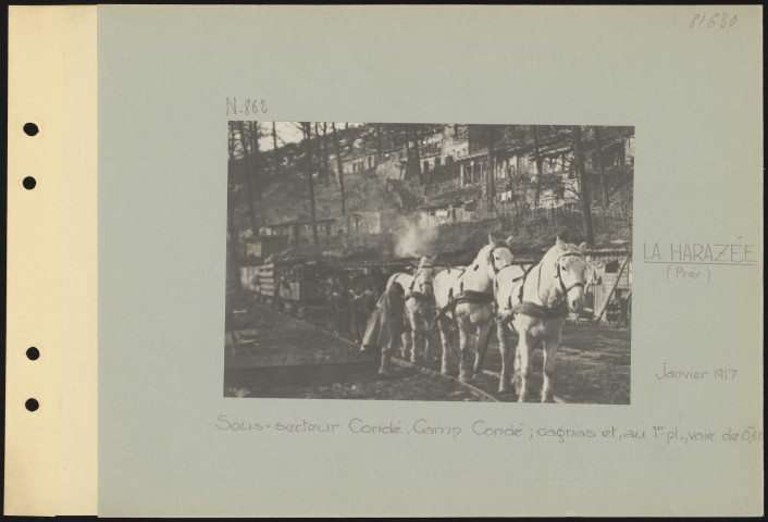 La Harazée (près). Sous-secteur Condé. Camp Condé ; cagnas et, au premier plan, voie de 0 m 60