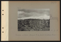 Bussy. Cimetière militaire allemand. À droite, tombe d'aviateurs français