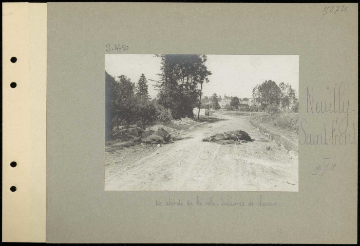 Neuilly-Saint-Front. Les abords de la ville. Cadavres de chevaux