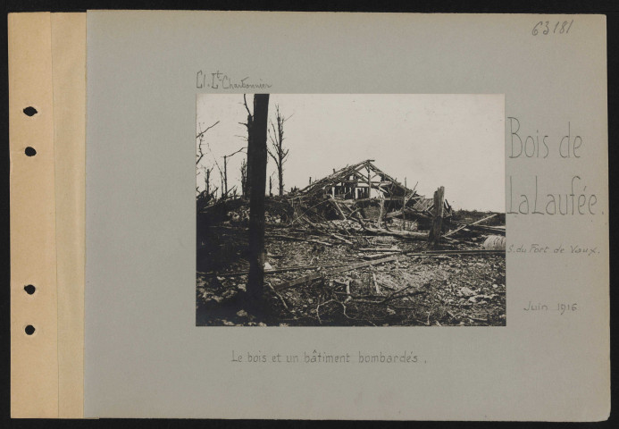 Bois de la Laufée (sud du Fort de Vaux). Le bois et un bâtiment bombardés