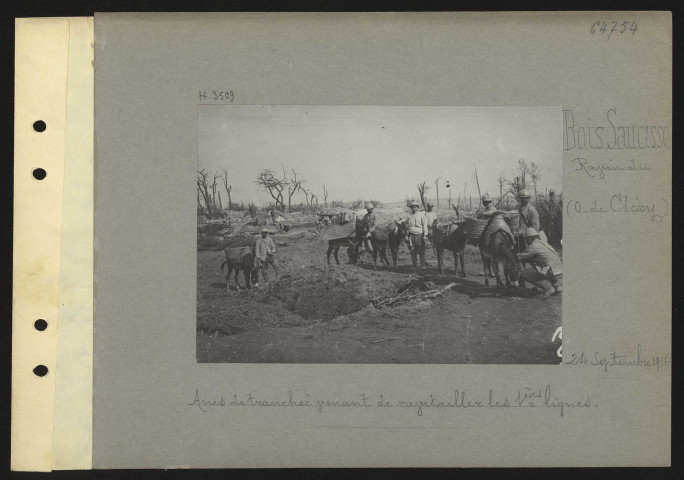Bois Saucisse (Ravin du) (ouest de Cléry). Anes de tranchée venant de ravitailler les premières lignes