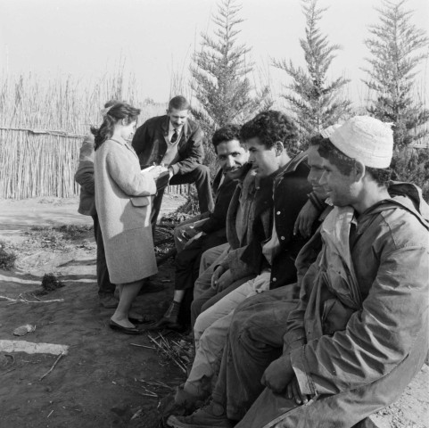 Reportage sur le domaine de la Trappe, propriété nationalisée de la famille Borgeaud à Staouëli, près d'Alger (suite). 7