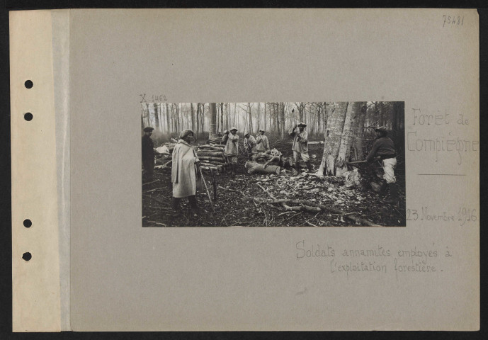 Forêt de Compiègne. Soldats annamites employés à l'exploitation forestière