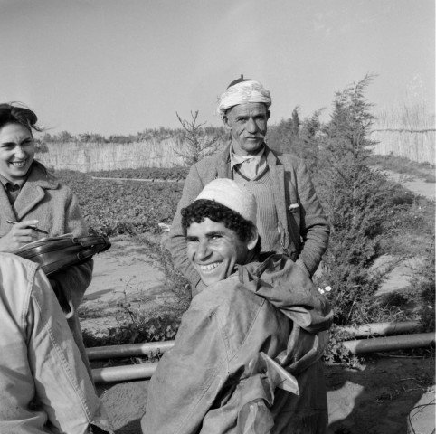 Reportage sur le domaine de la Trappe, propriété nationalisée de la famille Borgeaud à Staouëli, près d'Alger (suite). 7