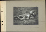 Fère-Champenoise (environs de). Cadavre de soldat allemand