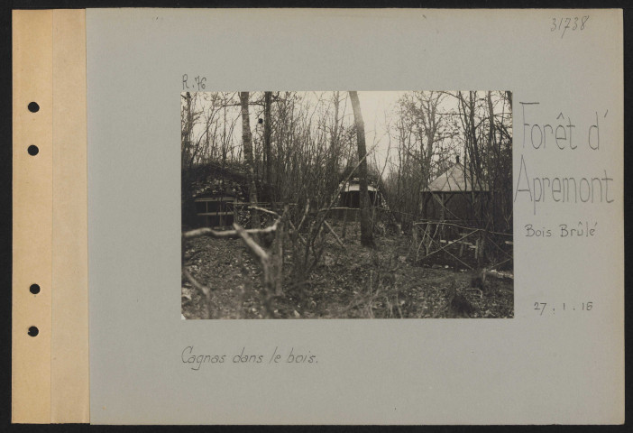 Forêt d'Apremont (Bois Brûlé). Cagnas dans les bois